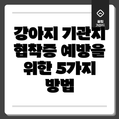 강아지 기관지 협착증 예방을 위한 5가지 방법