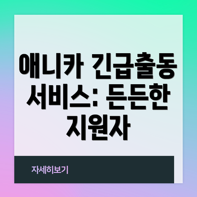 애니카 긴급출동 서비스: 든든한 지원자