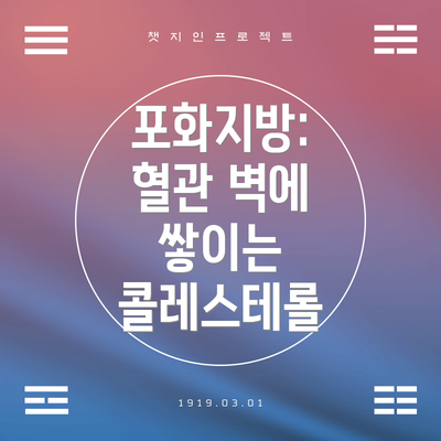 포화지방:  혈관 벽에 쌓이는 콜레스테롤