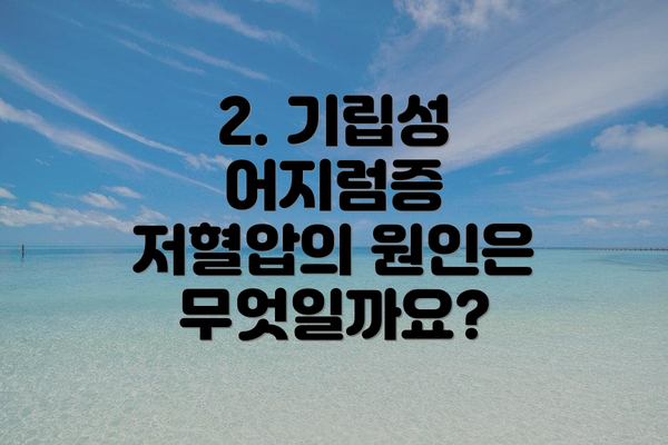 2. 기립성 어지럼증 저혈압의 원인은 무엇일까요?