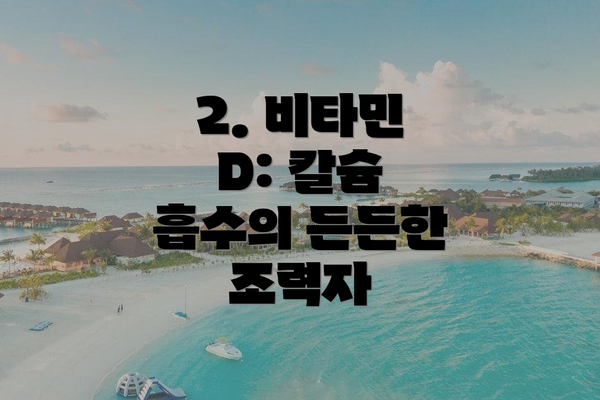 2. 비타민 D: 칼슘 흡수의 든든한 조력자