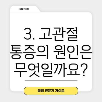 3. 고관절 통증의 원인은 무엇일까요?