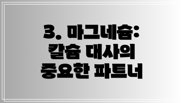 3. 마그네슘: 칼슘 대사의 중요한 파트너