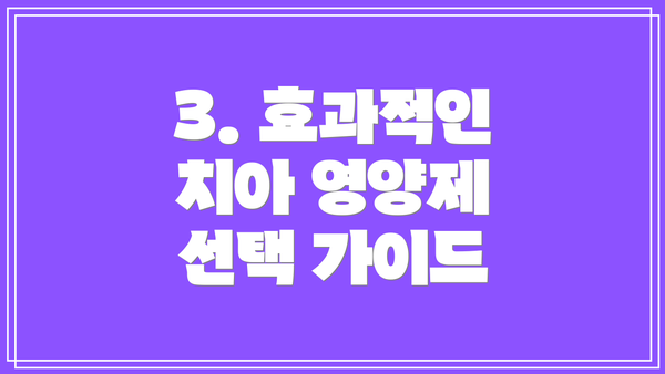 3. 효과적인 치아 영양제 선택 가이드