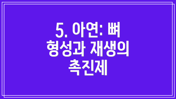 5. 아연: 뼈 형성과 재생의 촉진제