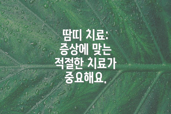 땀띠 치료:  증상에 맞는 적절한 치료가 중요해요.