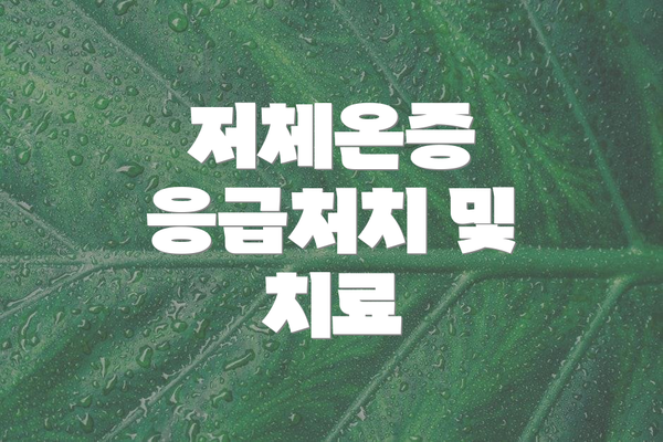 저체온증 응급처치 및 치료
