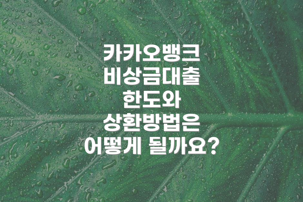 카카오뱅크 비상금대출 한도와 상환방법은 어떻게 될까요?