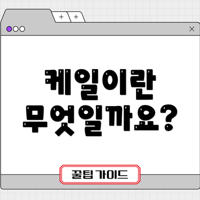 케일이란 무엇일까요?