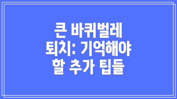 큰 바퀴벌레 퇴치: 기억해야 할 추가 팁들