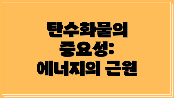 탄수화물의 중요성: 에너지의 근원