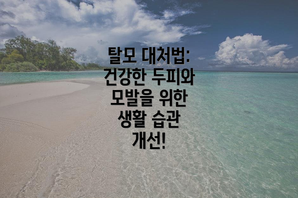 탈모 대처법: 건강한 두피와 모발을 위한 생활 습관 개선!