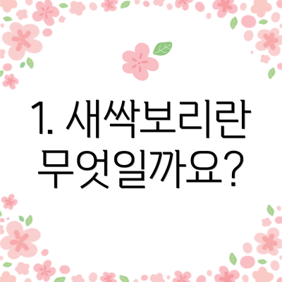 1. 새싹보리란 무엇일까요?
