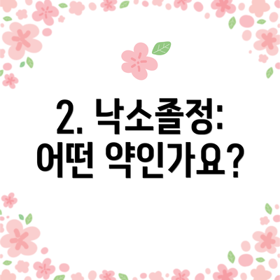 2. 낙소졸정:  어떤 약인가요?