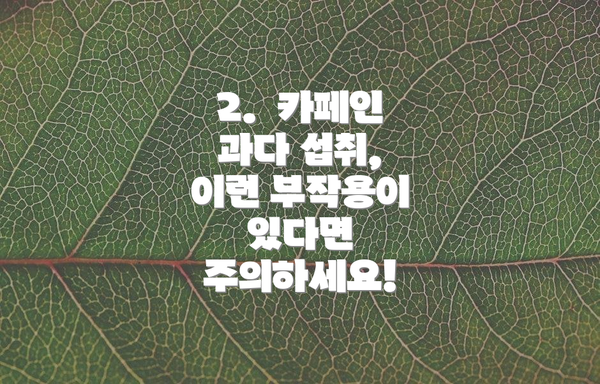 2.  카페인 과다 섭취, 이런 부작용이 있다면 주의하세요!
