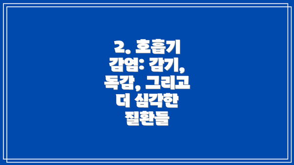 2. 호흡기 감염: 감기, 독감, 그리고 더 심각한 질환들