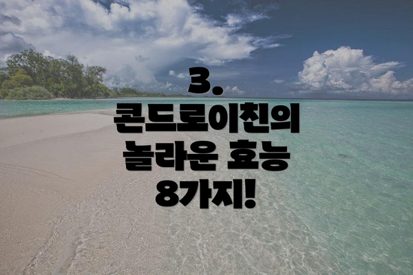 3. 콘드로이친의 놀라운 효능 8가지!