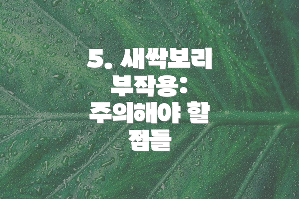 5. 새싹보리 부작용: 주의해야 할 점들