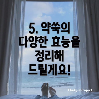 5. 약쑥의 다양한 효능을 정리해 드릴게요!