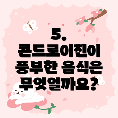 5. 콘드로이친이 풍부한 음식은 무엇일까요?
