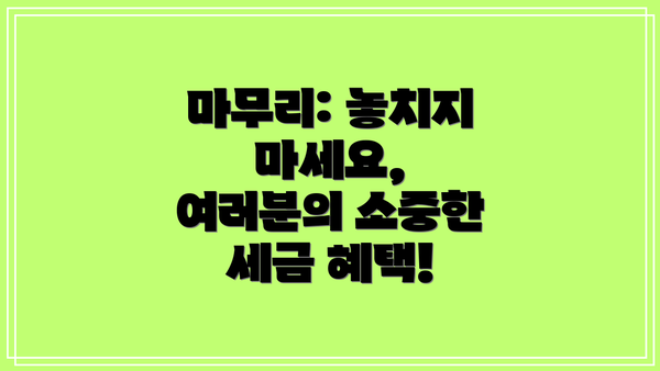 마무리: 놓치지 마세요, 여러분의 소중한 세금 혜택!
