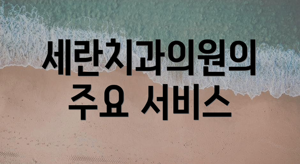 세란치과의원의 주요 서비스