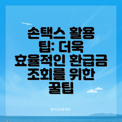 손택스 활용 팁: 더욱 효율적인 환급금 조회를 위한 꿀팁