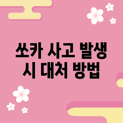 쏘카 사고 발생 시 대처 방법