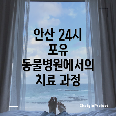 안산 24시 포유 동물병원에서의 치료 과정