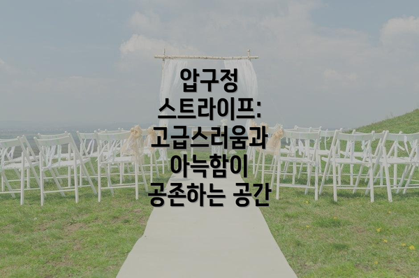 압구정 스트라이프: 고급스러움과 아늑함이 공존하는 공간
