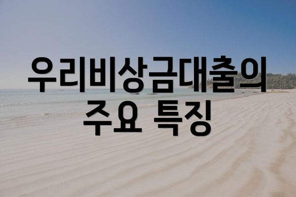 우리비상금대출의 주요 특징