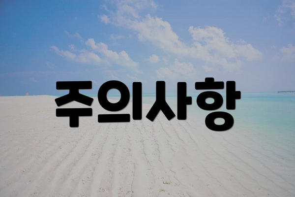주의사항