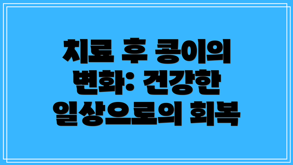 치료 후 콩이의 변화: 건강한 일상으로의 회복