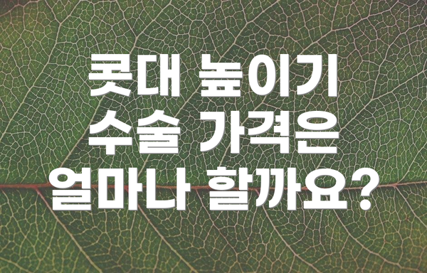 콧대 높이기 수술 가격은 얼마나 할까요?