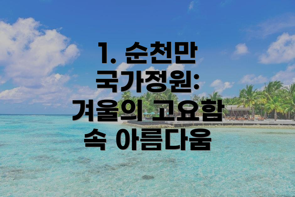 1. 순천만 국가정원: 겨울의 고요함 속 아름다움
