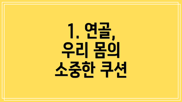 1. 연골, 우리 몸의 소중한 쿠션