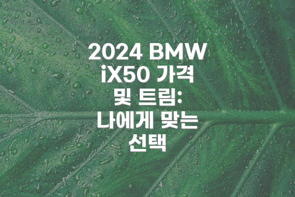 2024 BMW iX50 가격 및 트림: 나에게 맞는 선택