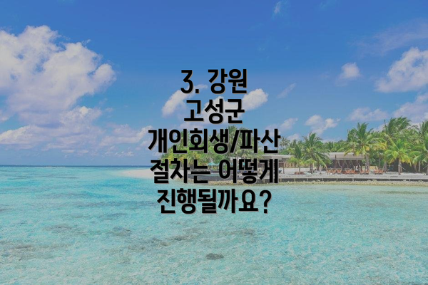 3. 강원 고성군 개인회생/파산 절차는 어떻게 진행될까요?