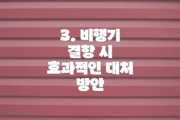 3. 비행기 결항 시 효과적인 대처 방안