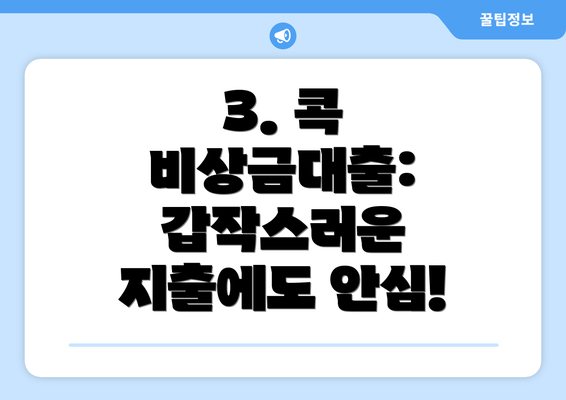 3. 콕 비상금대출: 갑작스러운 지출에도 안심!