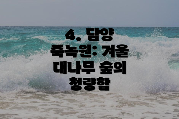 4. 담양 죽녹원: 겨울 대나무 숲의 청량함